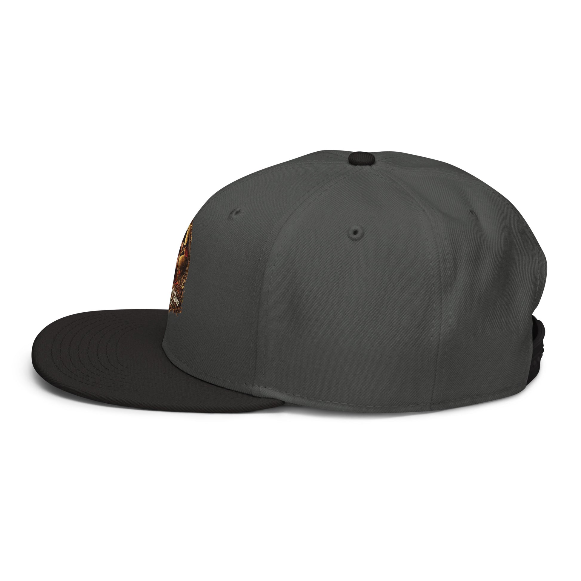 Black and charcoal gray snapback hat by The Dark Hour Coffee Company, shown from the left side.
