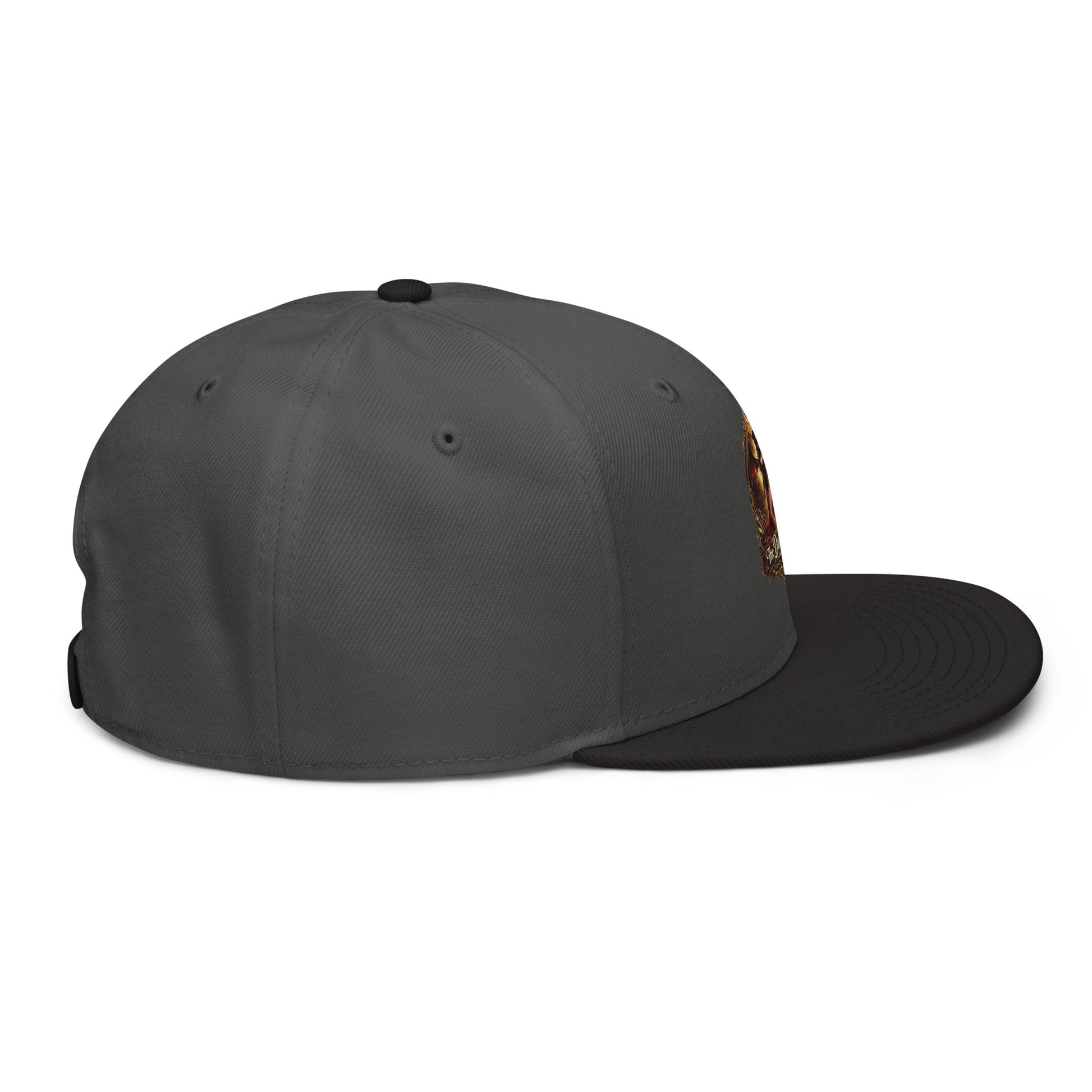 Black and charcoal gray snapback hat from The Dark Hour Coffee Company, showing the right side of the cap.