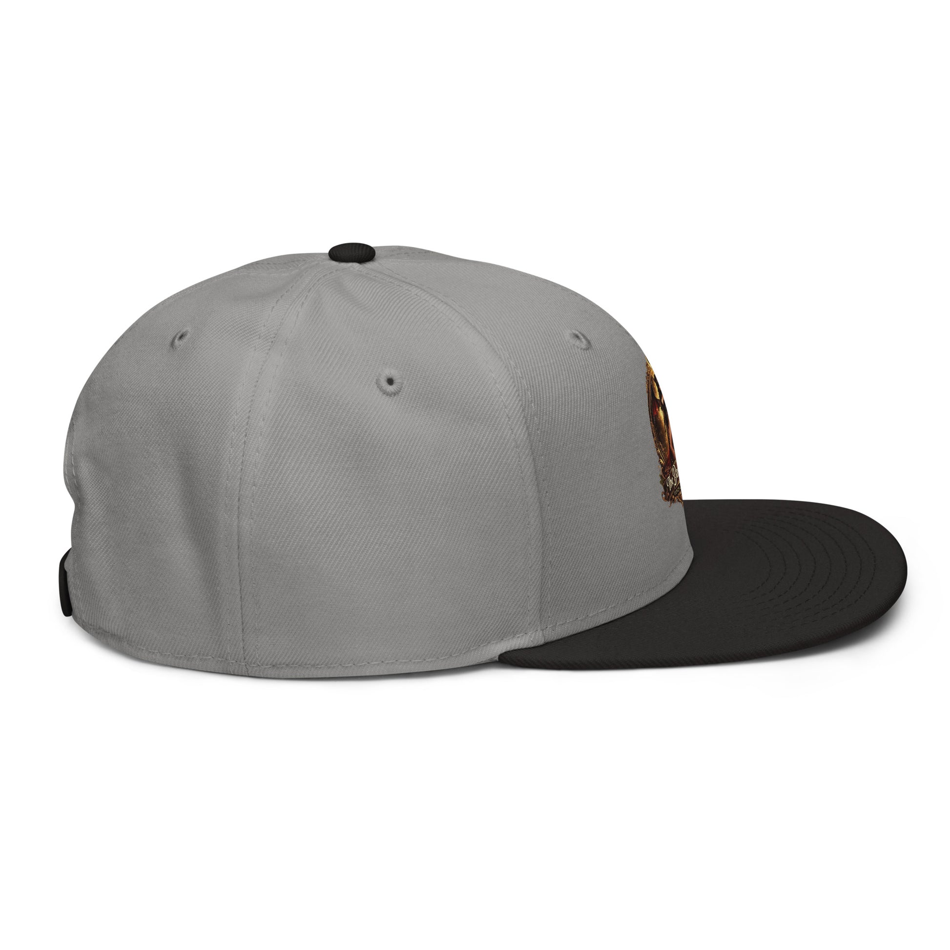 Black and gray snapback hat by The Dark Hour Coffee Company, showing the right side with a structured brim and adjustable back.