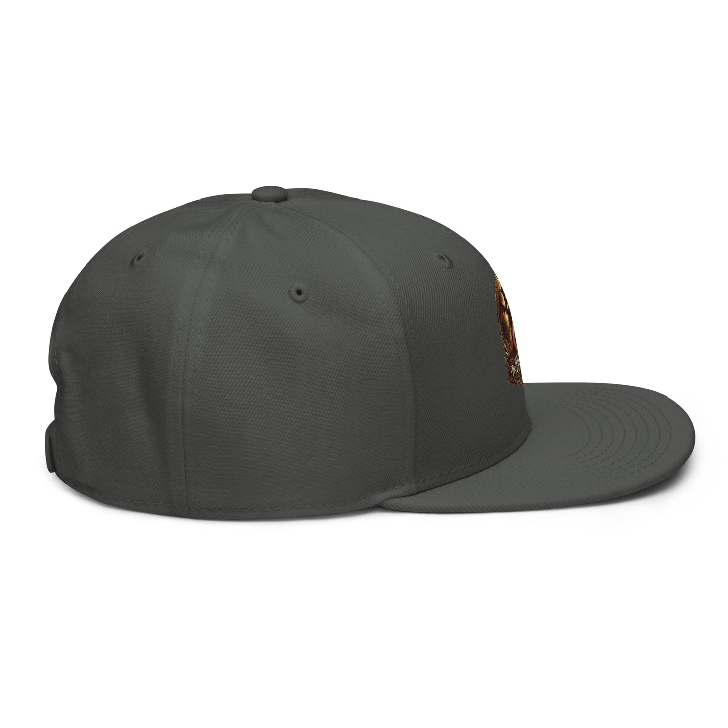 Charcoal gray snapback hat from The Dark Hour Coffee Company, shown from the right side with a structured brim and adjustable strap.