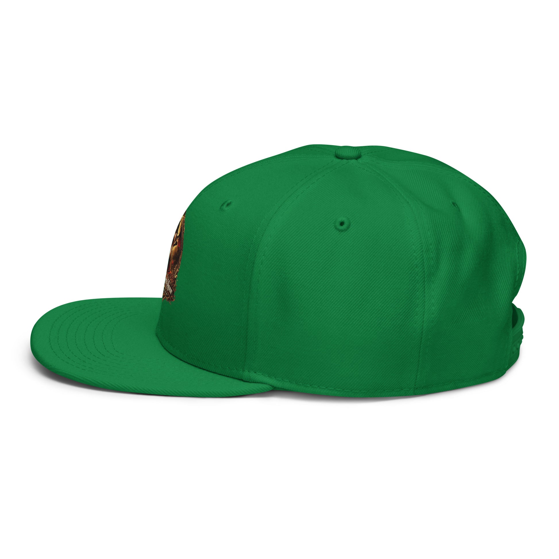 Kelly green snapback hat from The Dark Hour Coffee Company, shown from the left side with structured brim and adjustable strap.