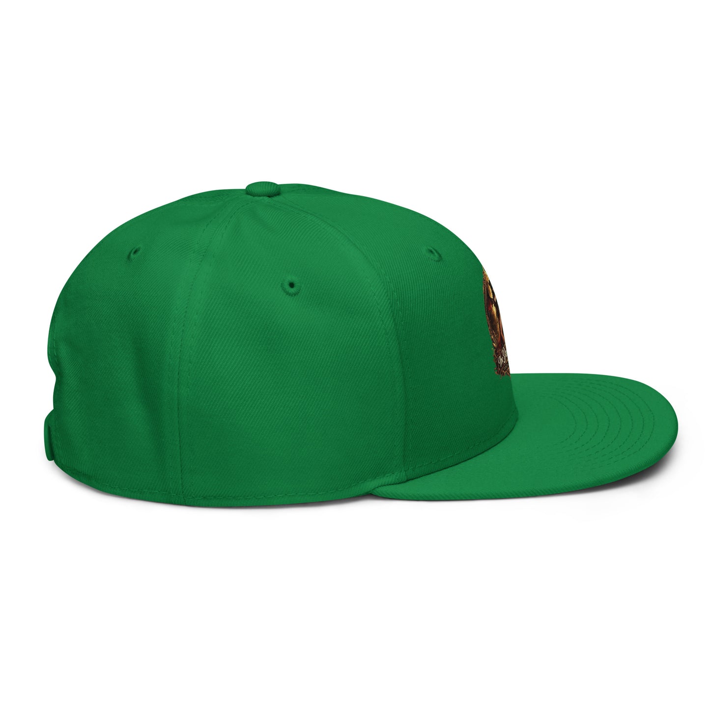 Kelly green snapback hat by The Dark Hour Coffee Company, showing the right side view with adjustable strap.